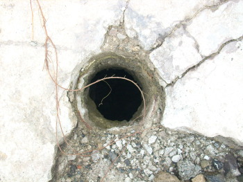 2008
